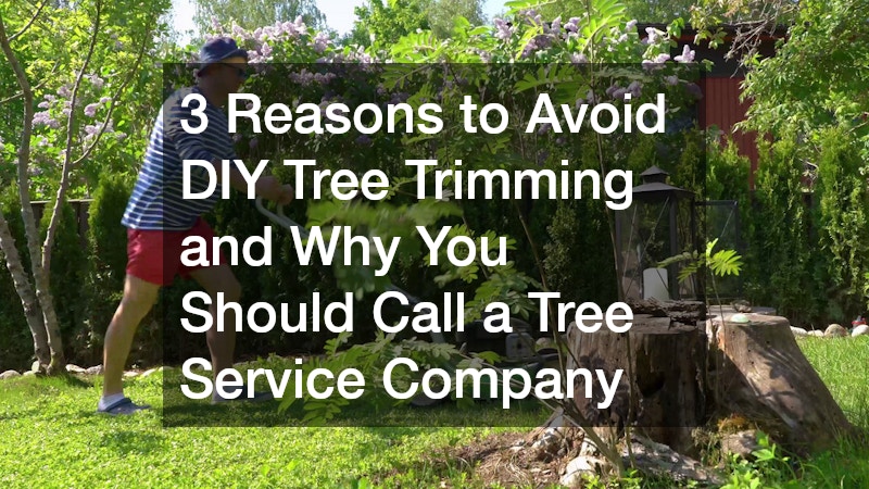 3 Reasons to Avoid DIY Tree Trimming and Why You Should Call a Tree Service Company